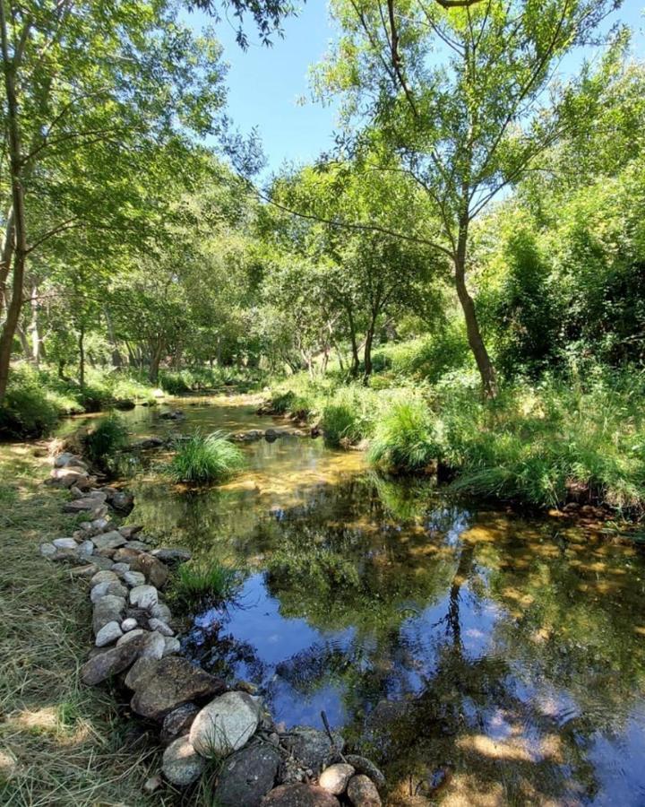 Hotel Ribera Del Corneja Navacepedilla de Corneja ภายนอก รูปภาพ
